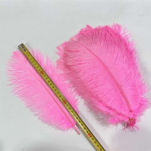 14-18 Inches Long Ostrich Feathers 